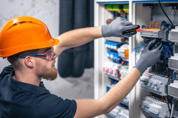 Best Electric Panel Repair  in Parkers Prairie, MN